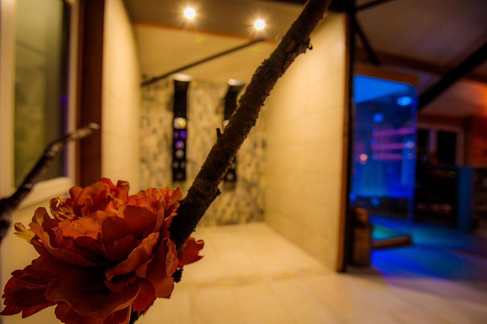 B&B En Wellness De Waalhoeve Angerlo Экстерьер фото